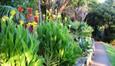 Waiheke accommodation